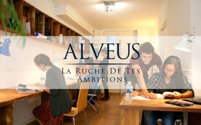 Alveus, cours de soutien