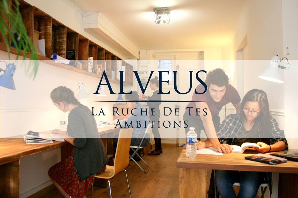 Alveus, cours de soutien