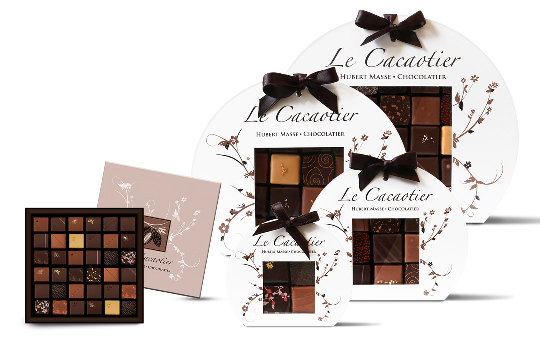 Le Cacaotier