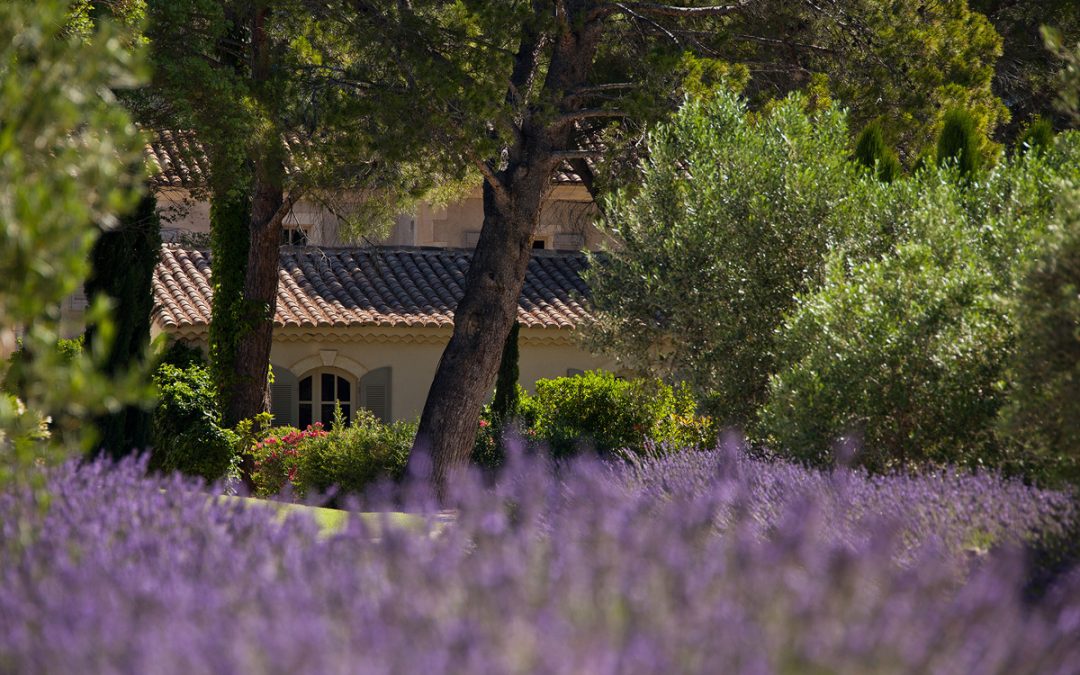 Stroke of charm in Baux-de-Provence
