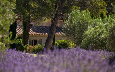 Coup de charme aux Baux-de-Provence