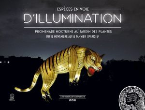 Espèces en voie d’illumination 